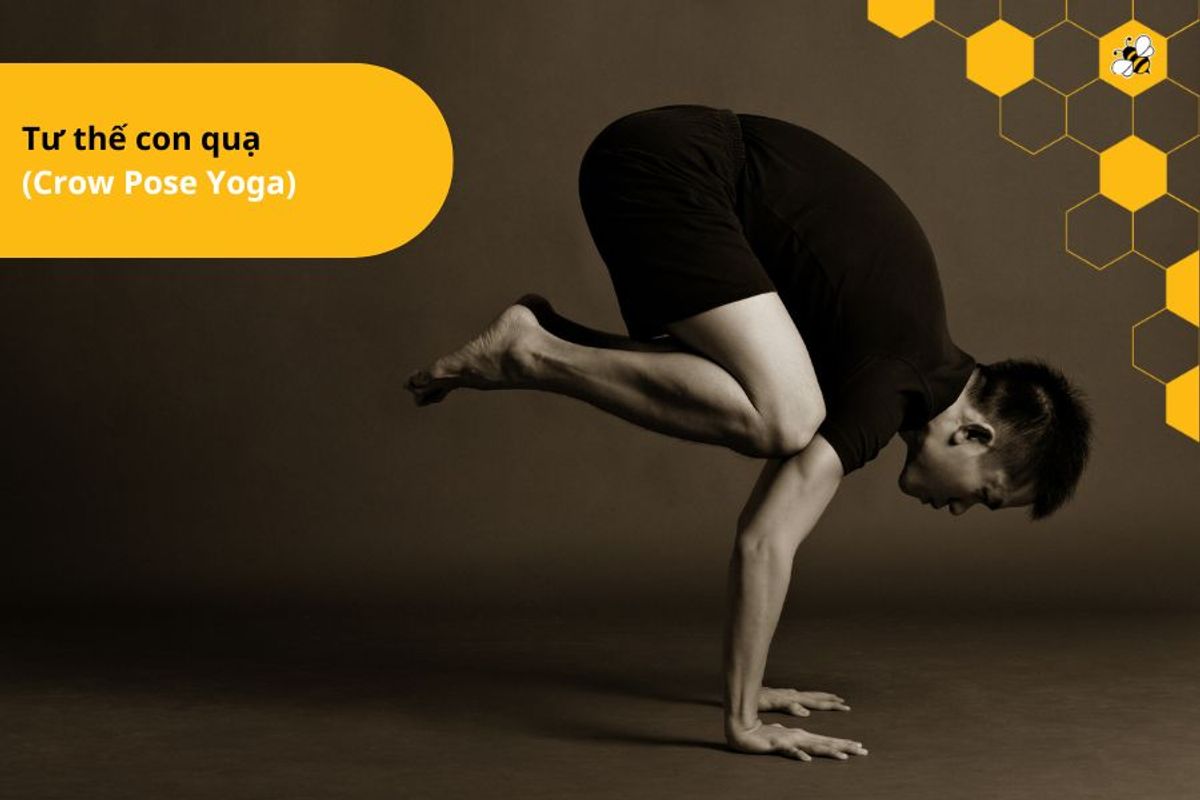 Tư thế con quạ  (Crow Pose Yoga)