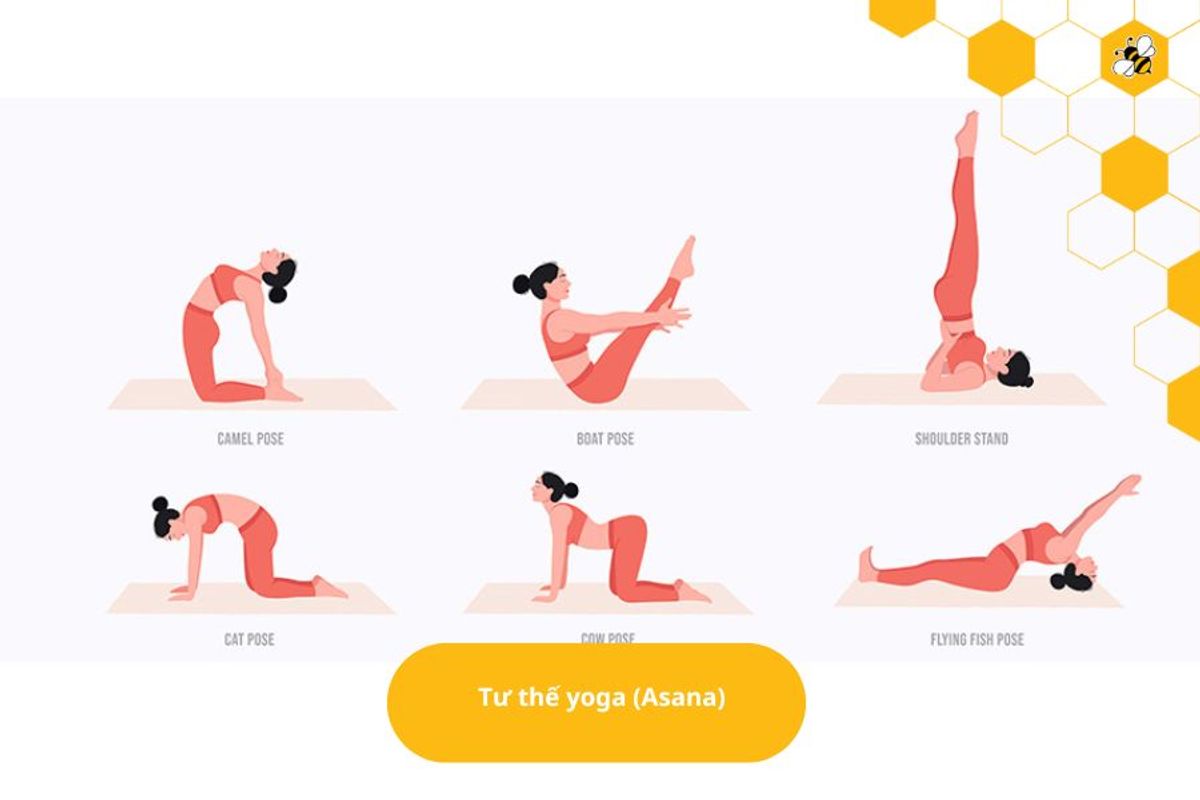 Tư thế yoga (Asana)