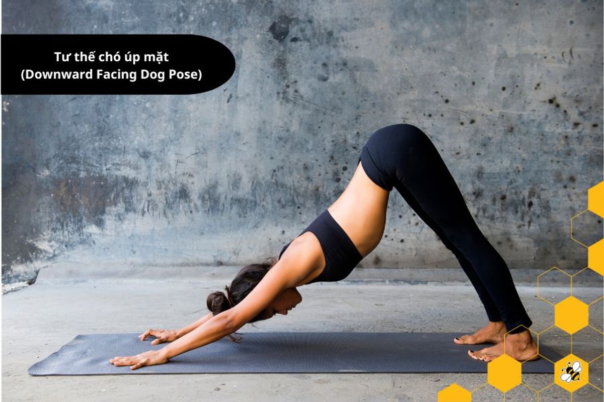 Tư thế chó úp mặt (Downward Facing Dog Pose)