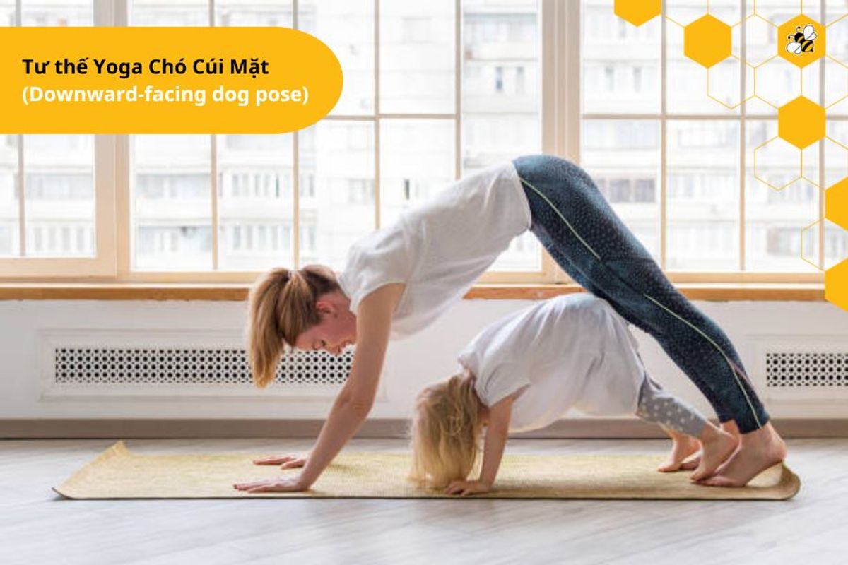 Tư thế Yoga Chó Cúi Mặt (Downward-facing dog pose)