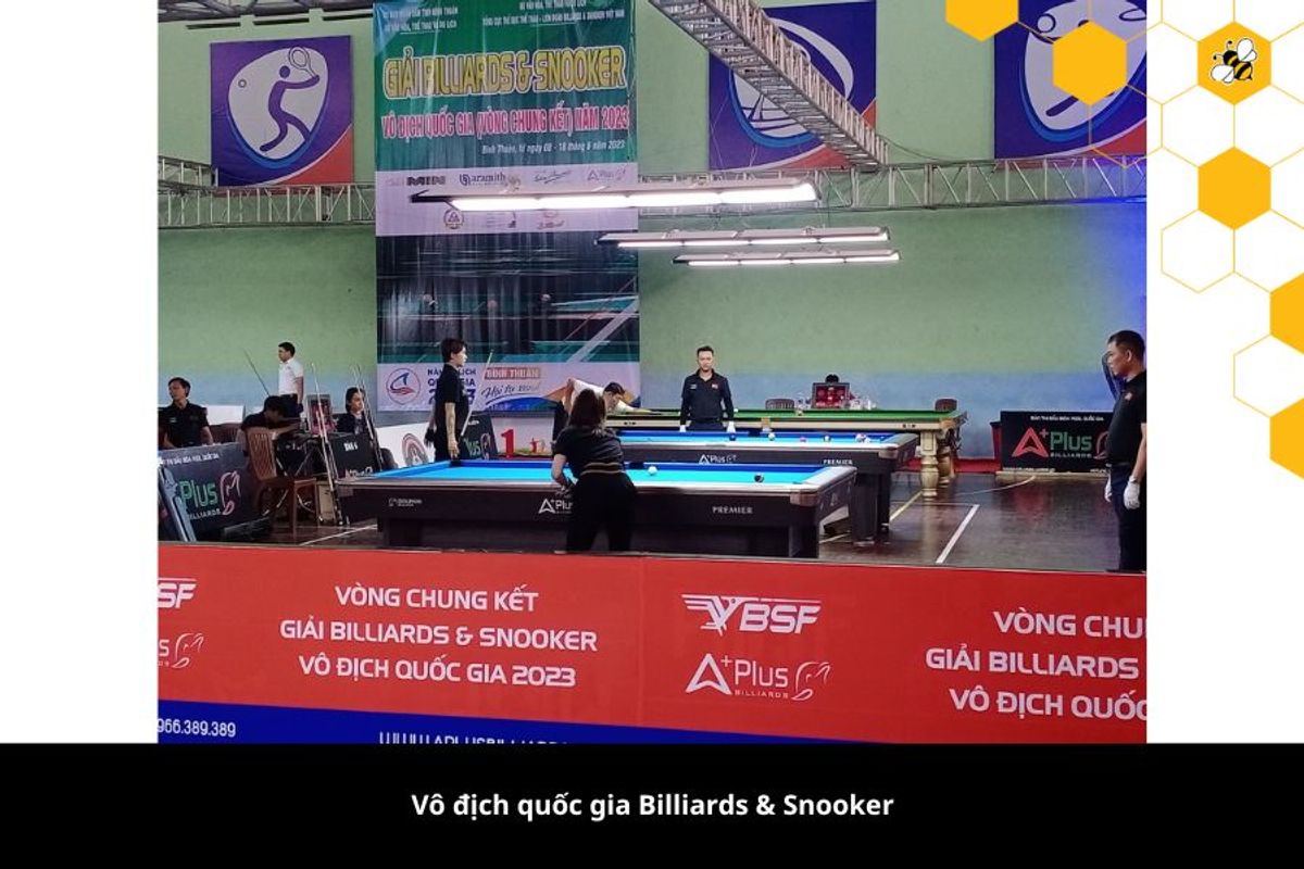 Vô địch quốc gia Billiards & Snooker