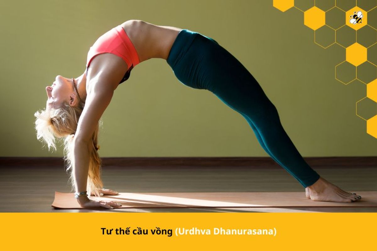 Tư thế cầu vồng (Urdhva Dhanurasana)