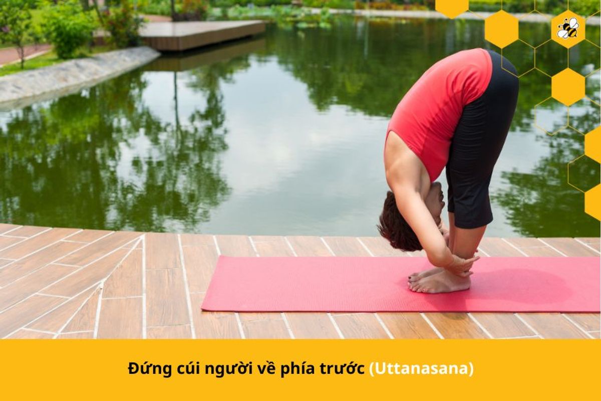 Đứng cúi người về phía trước (Uttanasana)