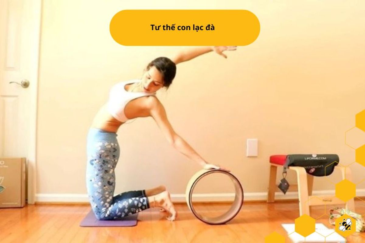 Tư thế con lạc đà