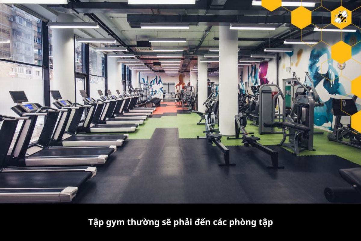 Tập gym thường sẽ phải đến các phòng tập