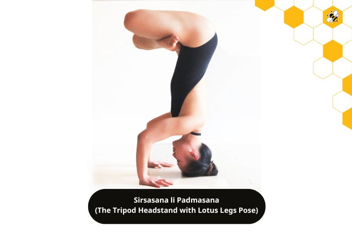 Sirsasana li Padmasana (The Tripod Headstand with Lotus Legs Pose)