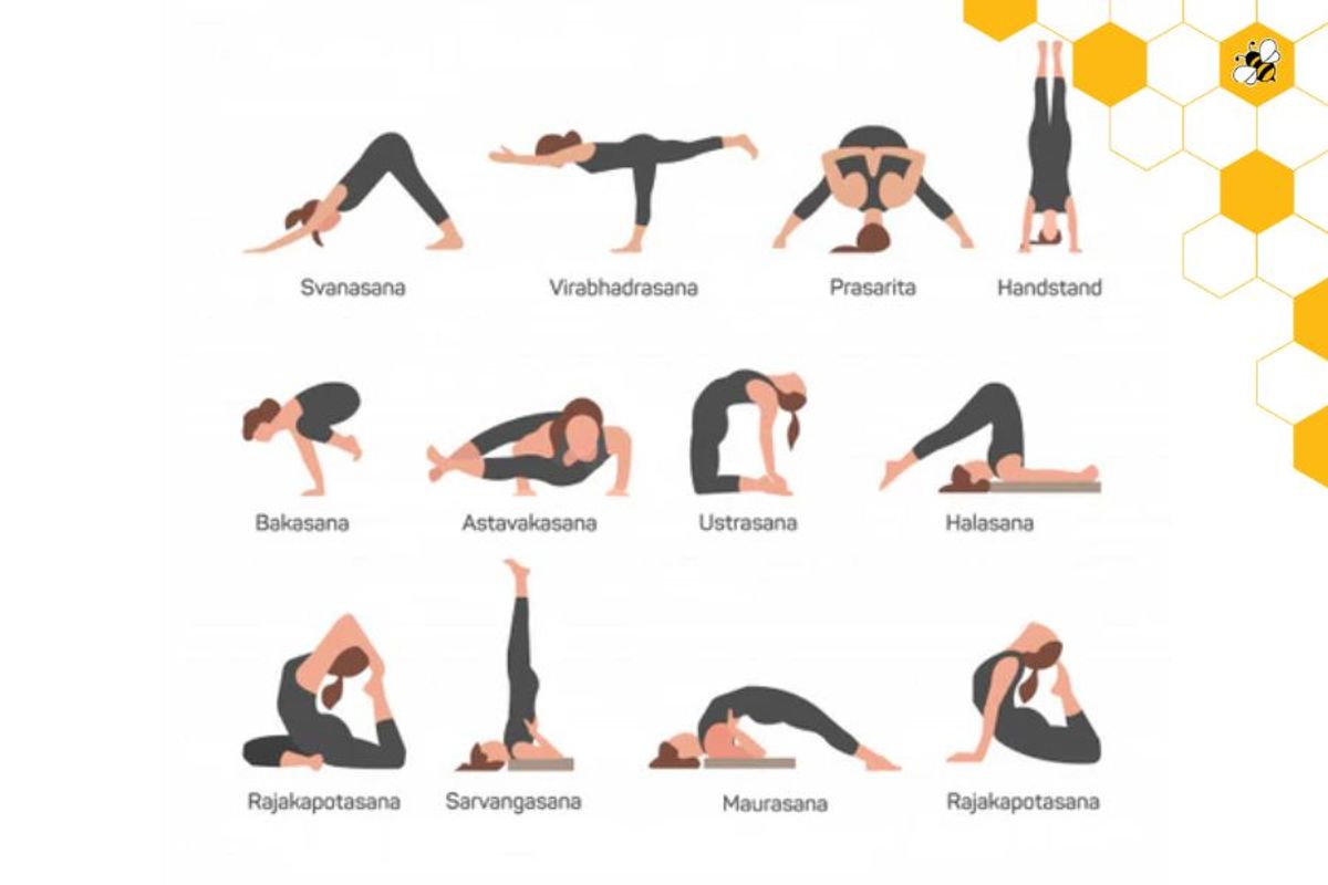 iyengar yoga