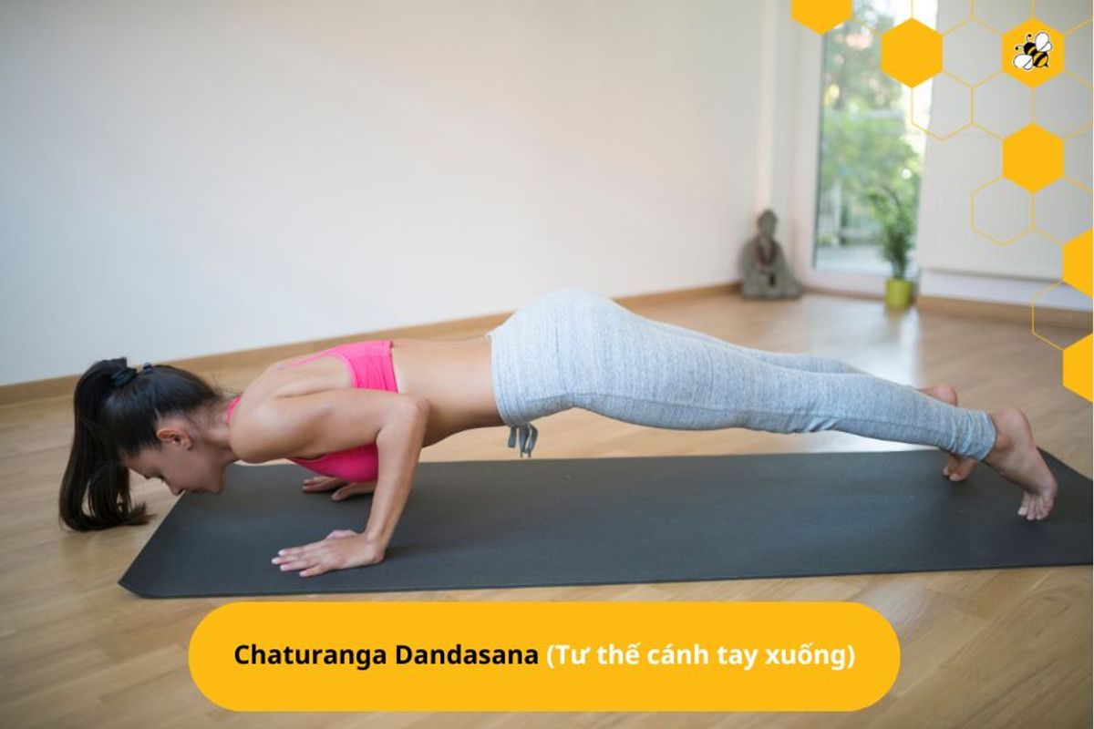 Chaturanga Dandasana (Tư thế cánh tay xuống)