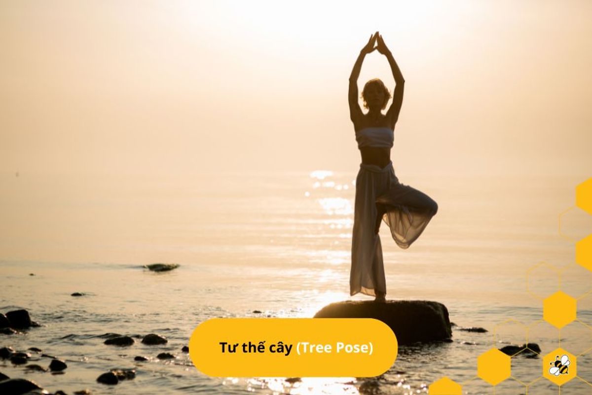 Tư thế cây (Tree Pose)