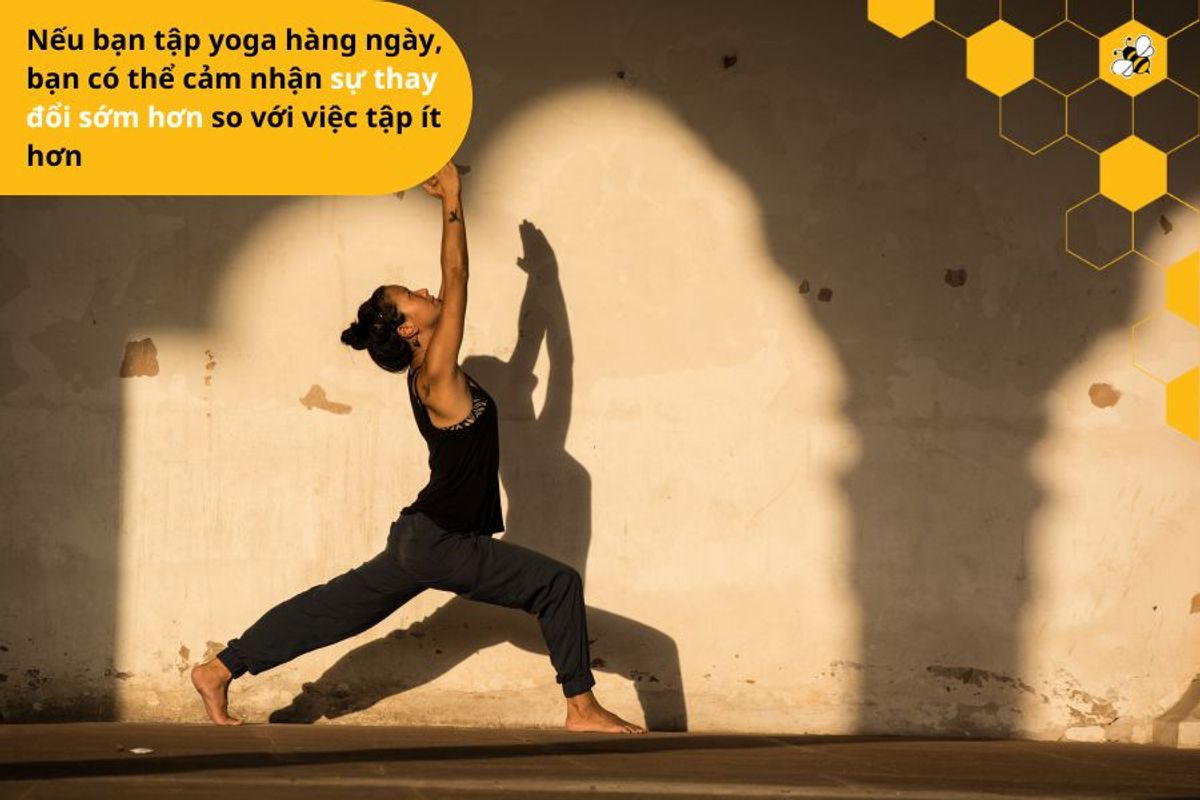 Nếu bạn tập yoga hàng ngày, bạn có thể cảm nhận sự thay đổi sớm hơn so với việc tập ít hơn