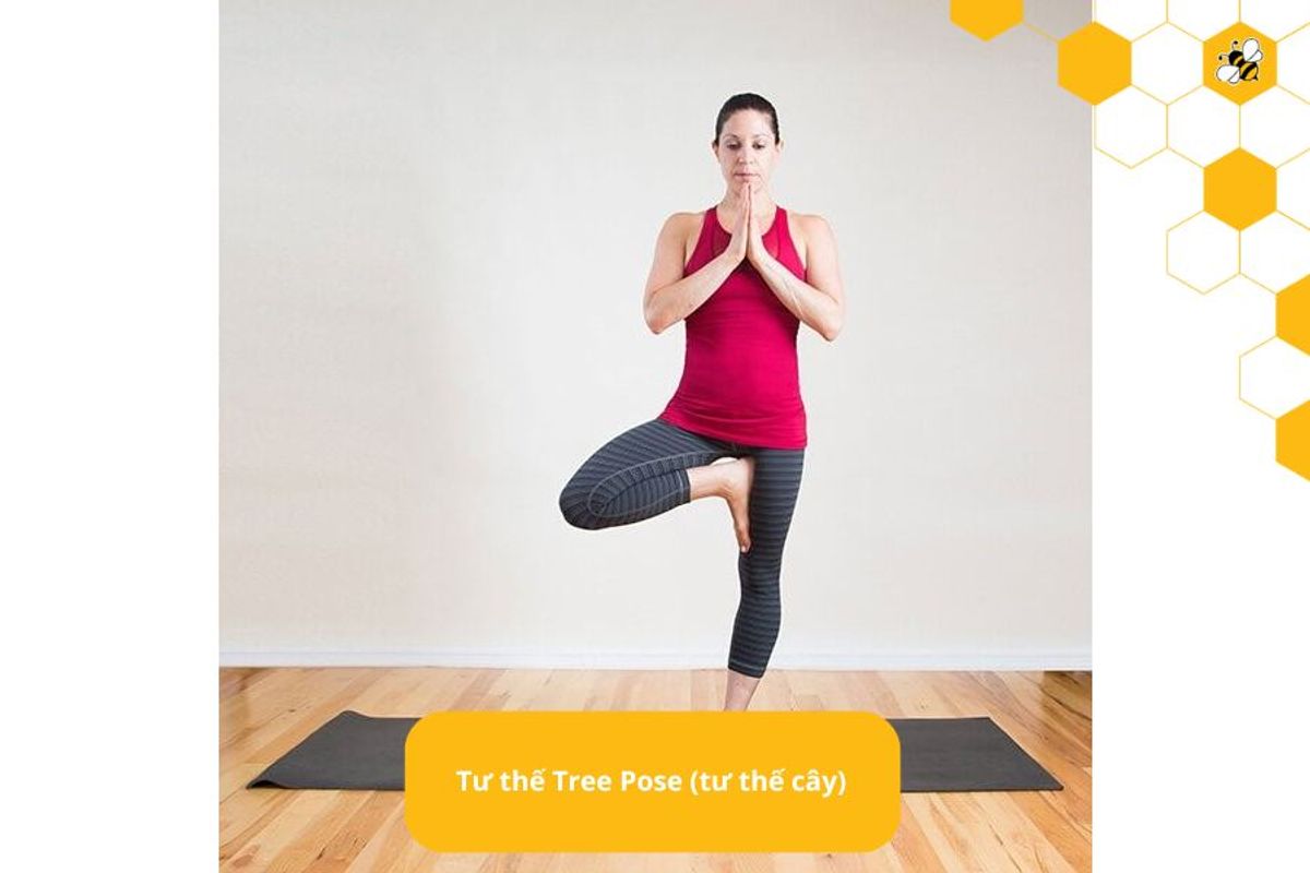 Tư thế Tree Pose (tư thế cây)