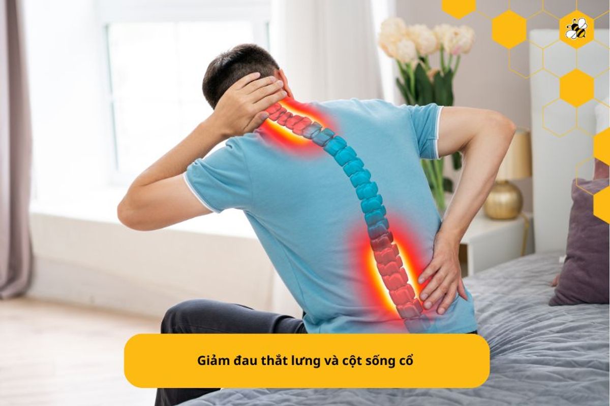 Giảm đau thắt lưng và cột sống cổ