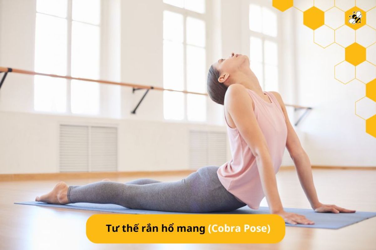 Tư thế rắn hổ mang (Cobra Pose)