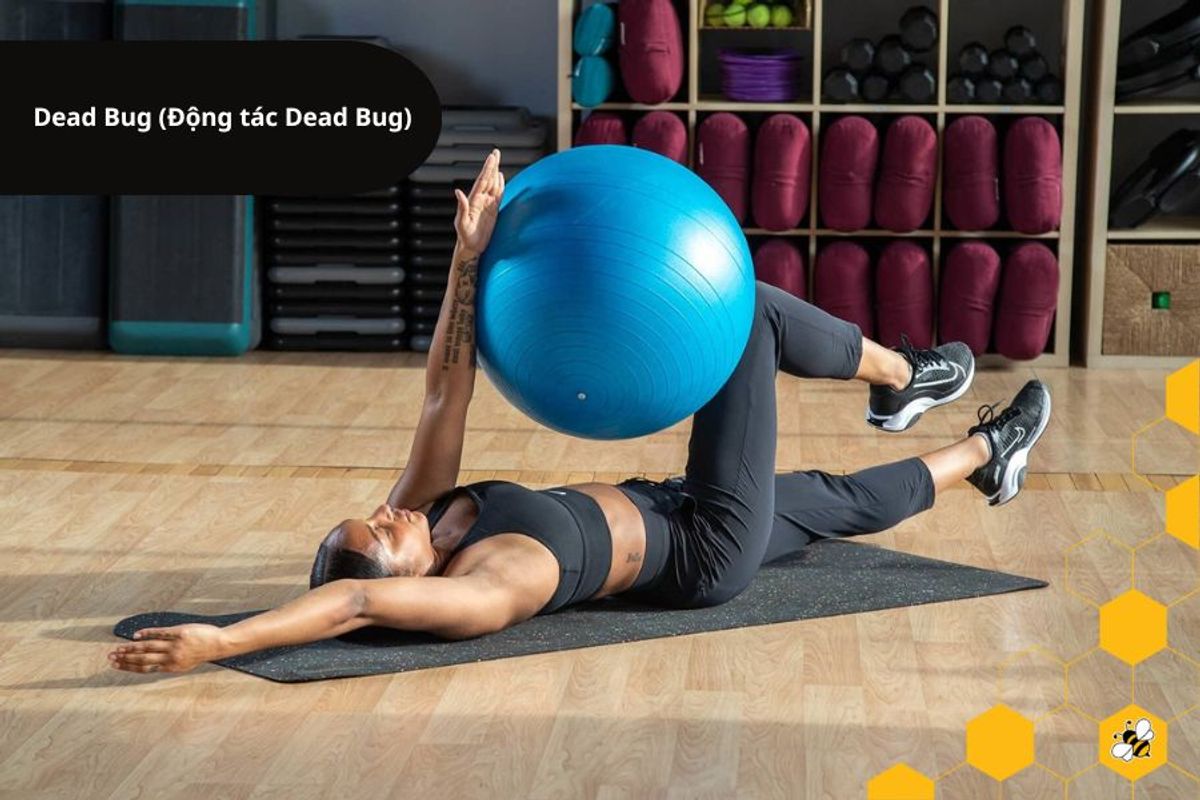 Dead Bug (Động tác Dead Bug)