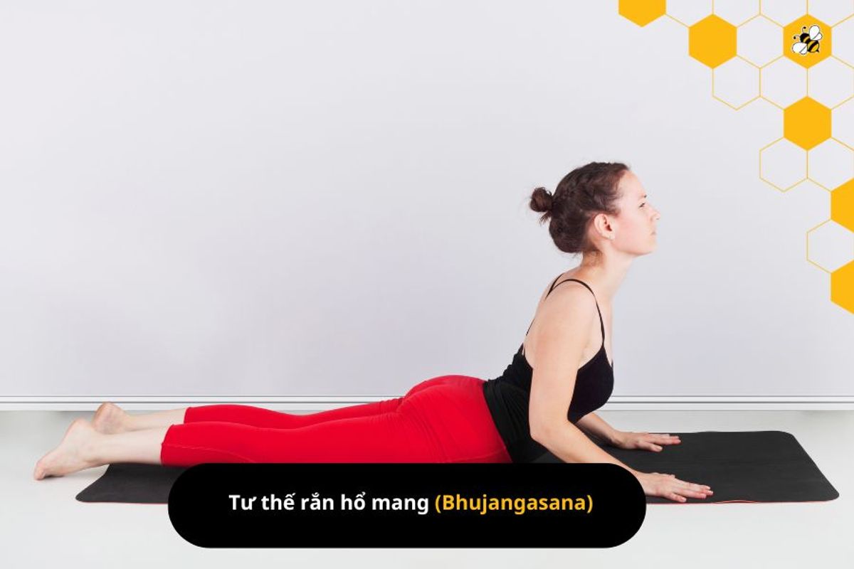 Tư thế rắn hổ mang (Bhujangasana)