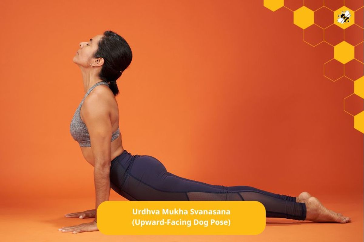 Urdhva Mukha Svanasana (Upward-Facing Dog Pose)