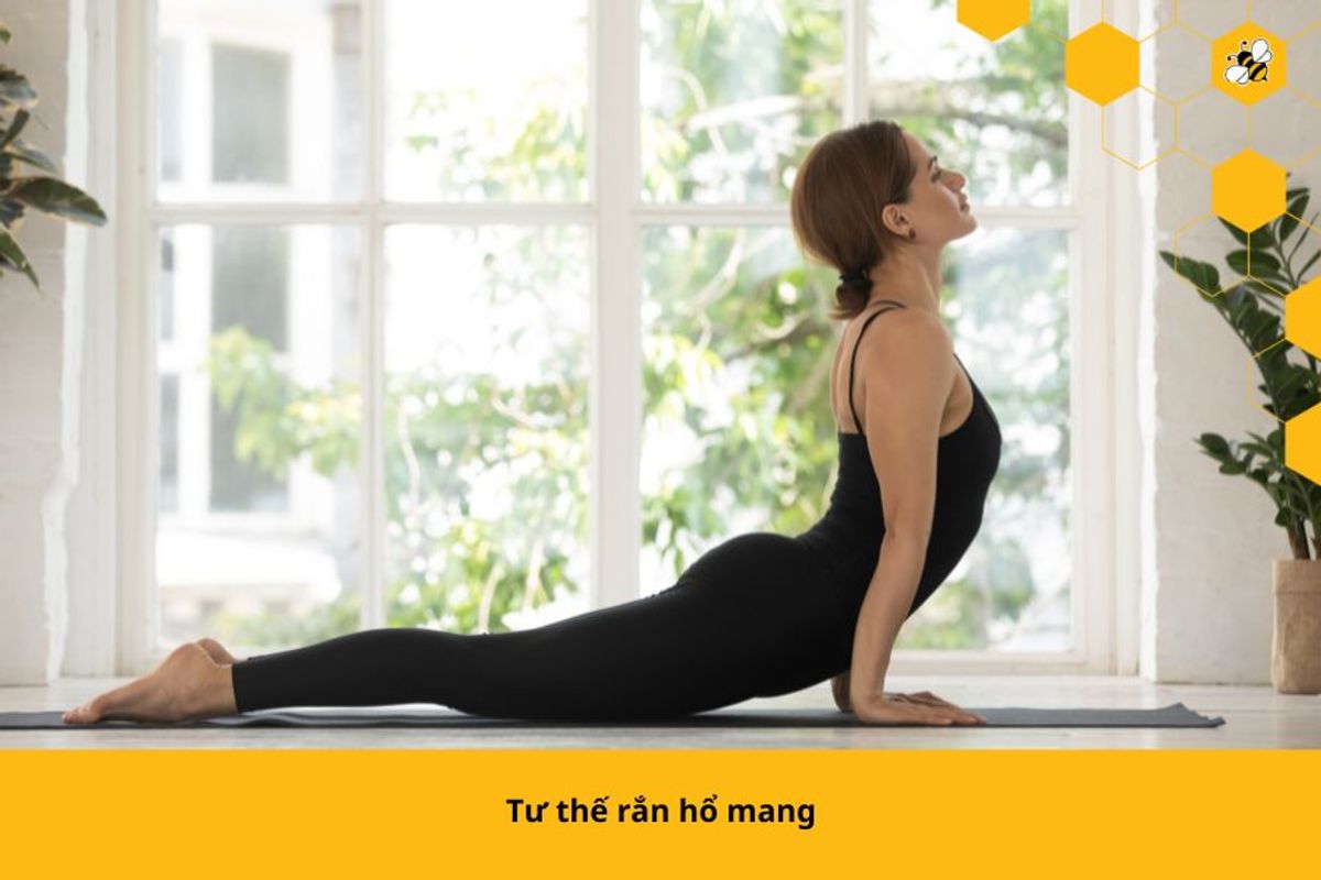 Tư thế rắn hổ mang