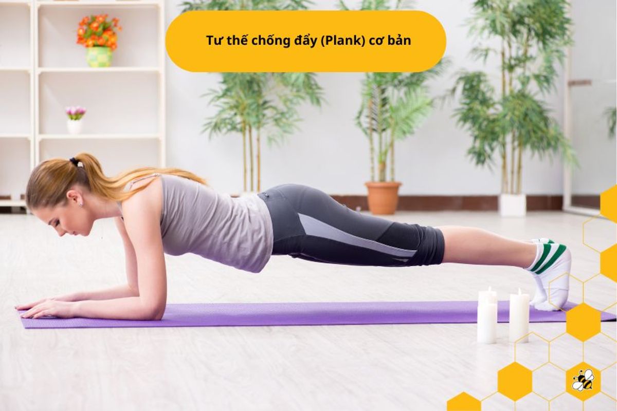 Tư thế chống đẩy (Plank) cơ bản