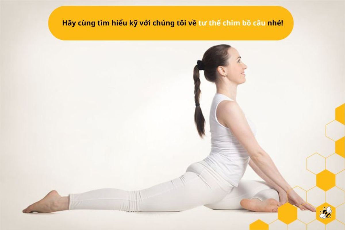 Hãy cùng tìm hiểu kỹ với chúng tôi về tư thế chim bồ câu nhé!