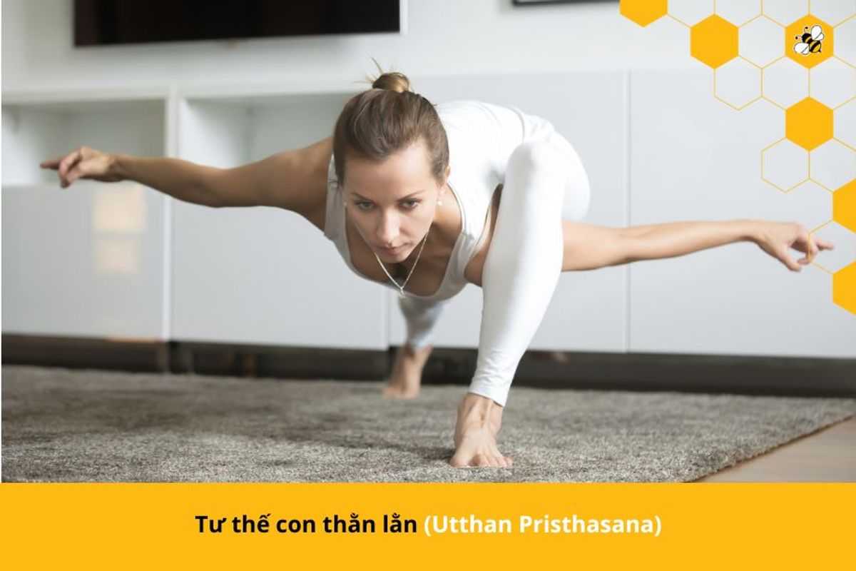 Tư thế con thằn lằn (Utthan Pristhasana)