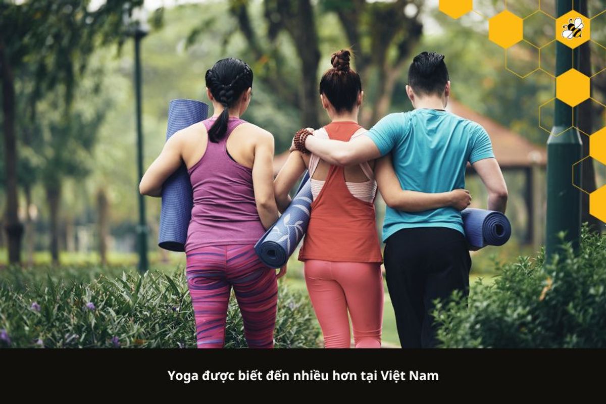 Yoga được biết đến nhiều hơn tại Việt Nam