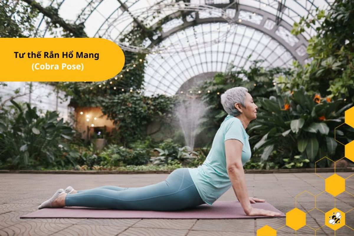 Tư thế Rắn Hổ Mang (Cobra Pose)