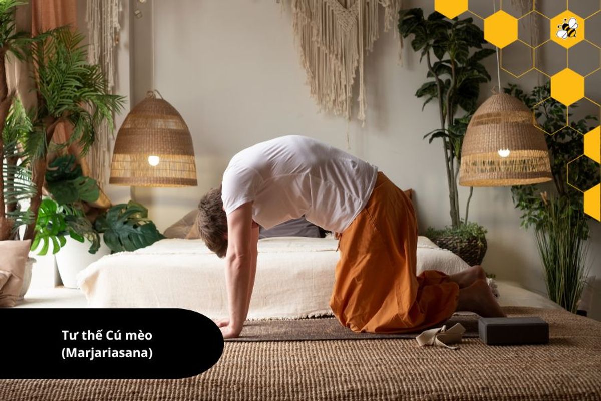 Tư thế Cú mèo (Marjariasana)