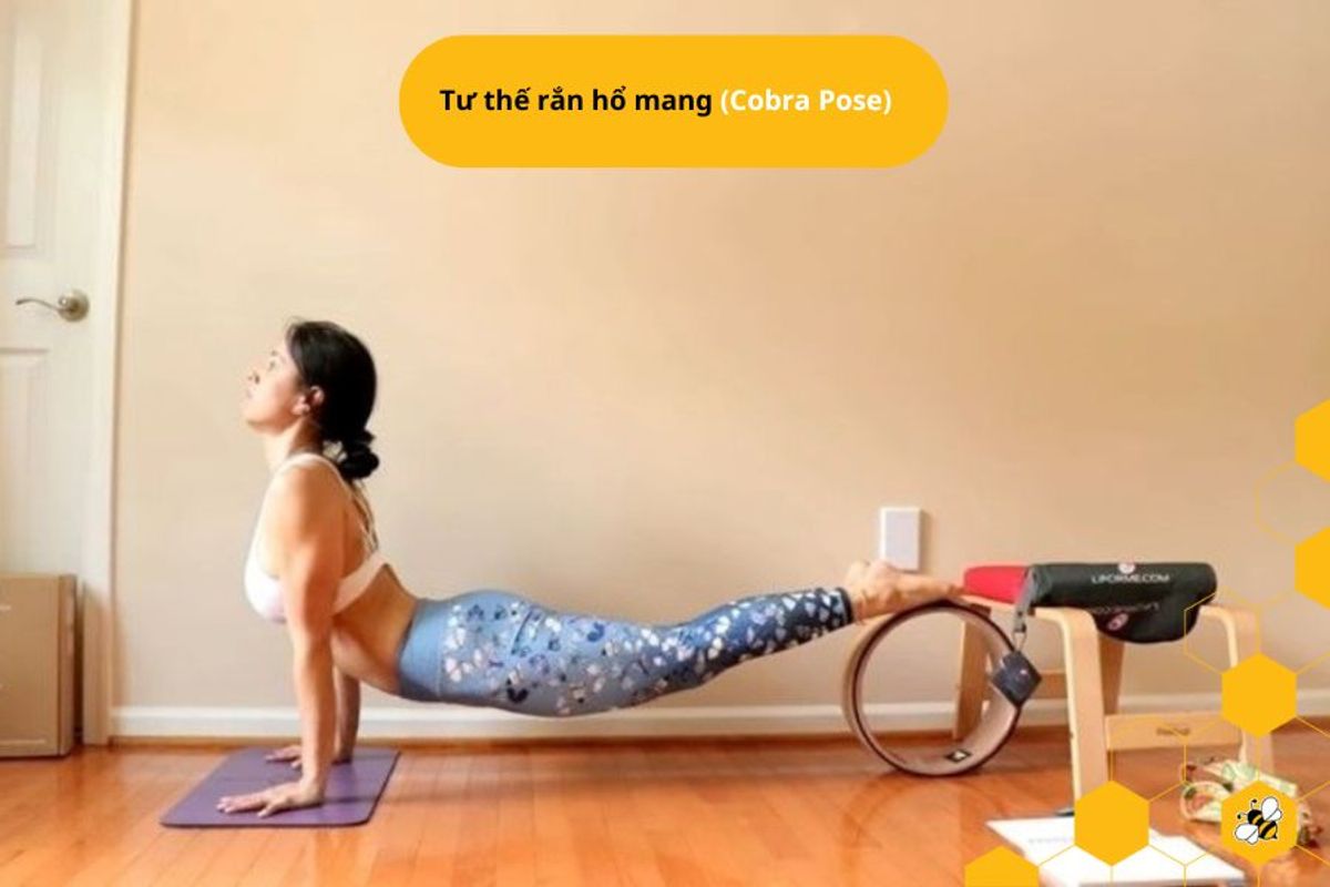 Tư thế rắn hổ mang (Cobra Pose)