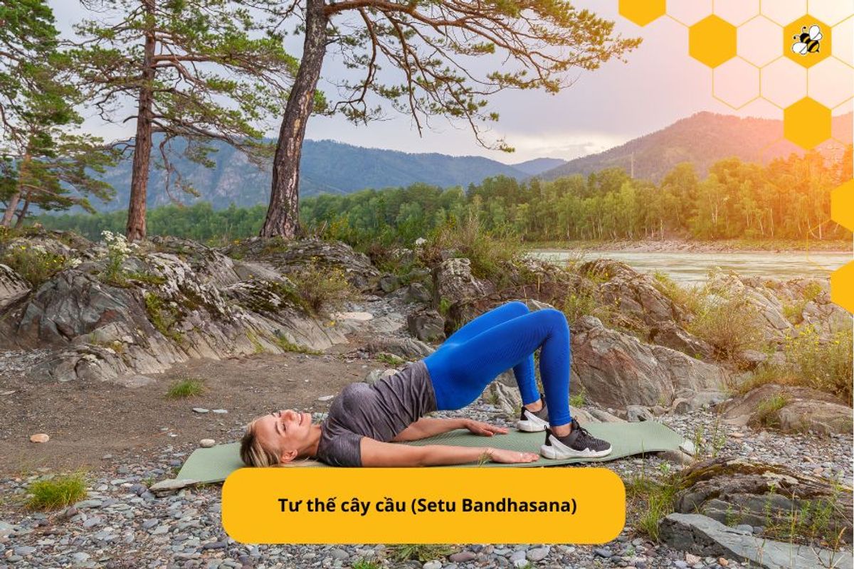 Tư thế cây cầu (Setu Bandhasana)