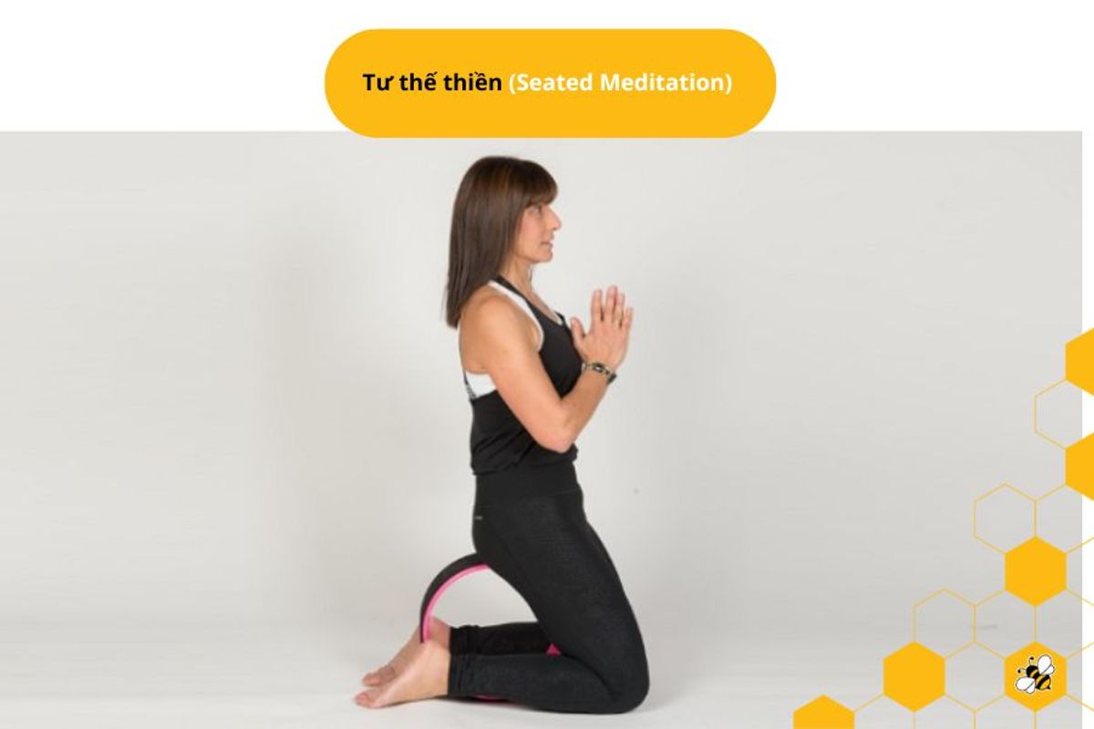 Tư thế thiền (Seated Meditation)