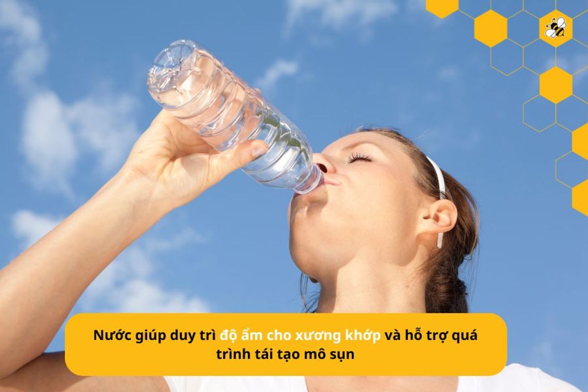 Nước giúp duy trì độ ẩm cho xương khớp và hỗ trợ quá trình tái tạo mô sụn
