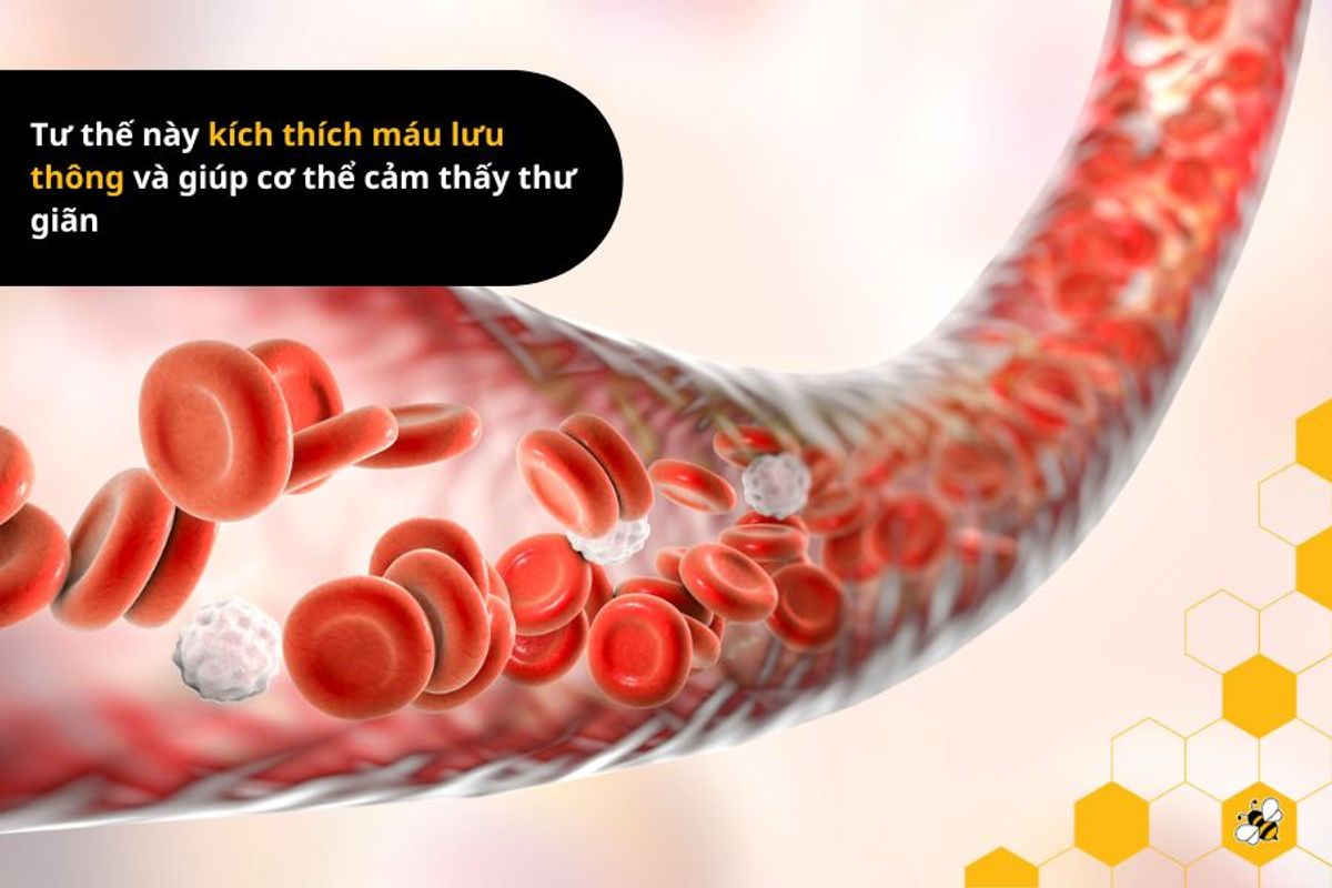 Tư thế này kích thích máu lưu thông và giúp cơ thể cảm thấy thư giãn
