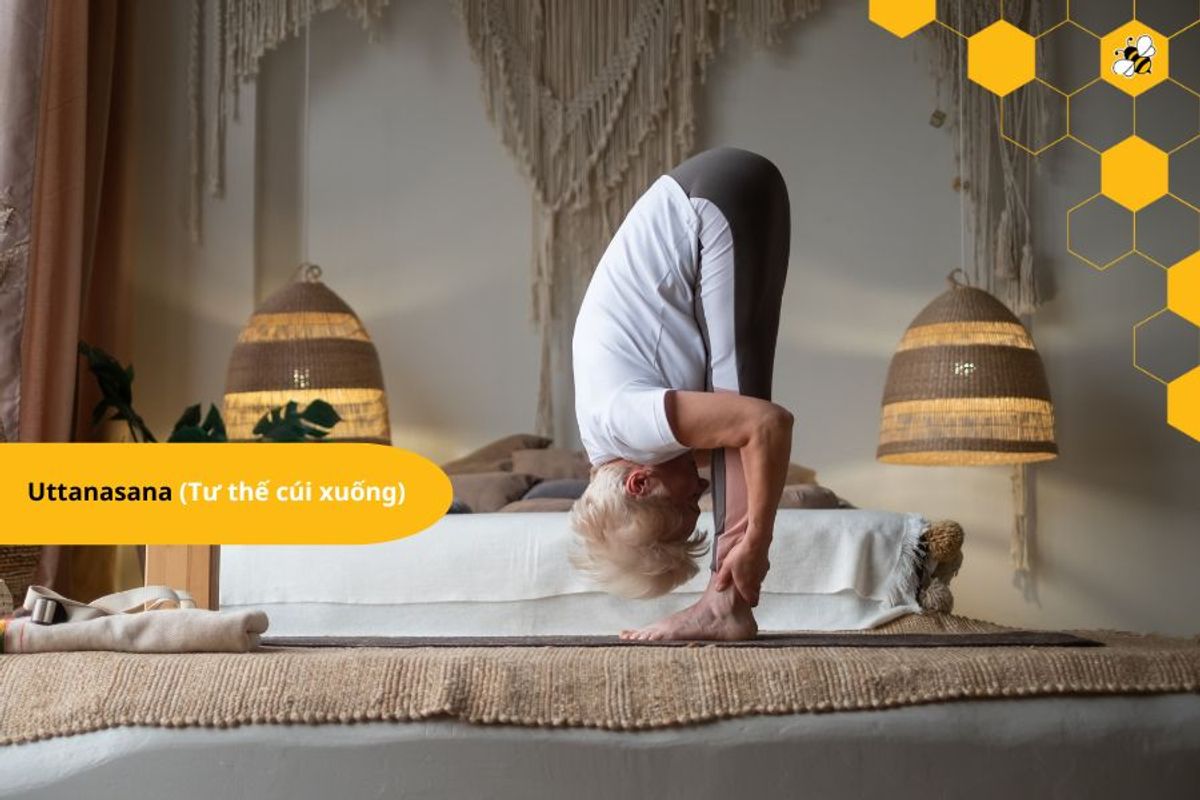Uttanasana (Tư thế cúi xuống)