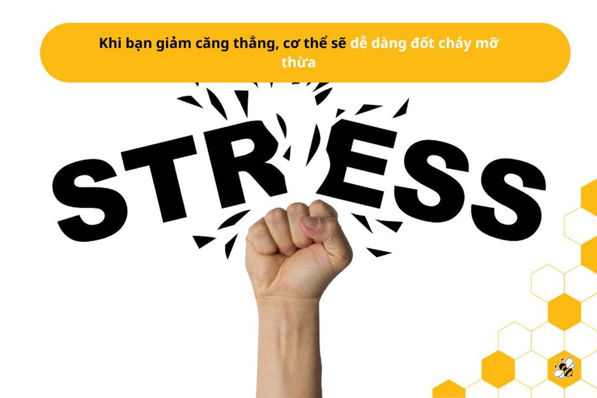 Khi bạn giảm căng thẳng, cơ thể sẽ dễ dàng đốt cháy mỡ thừa