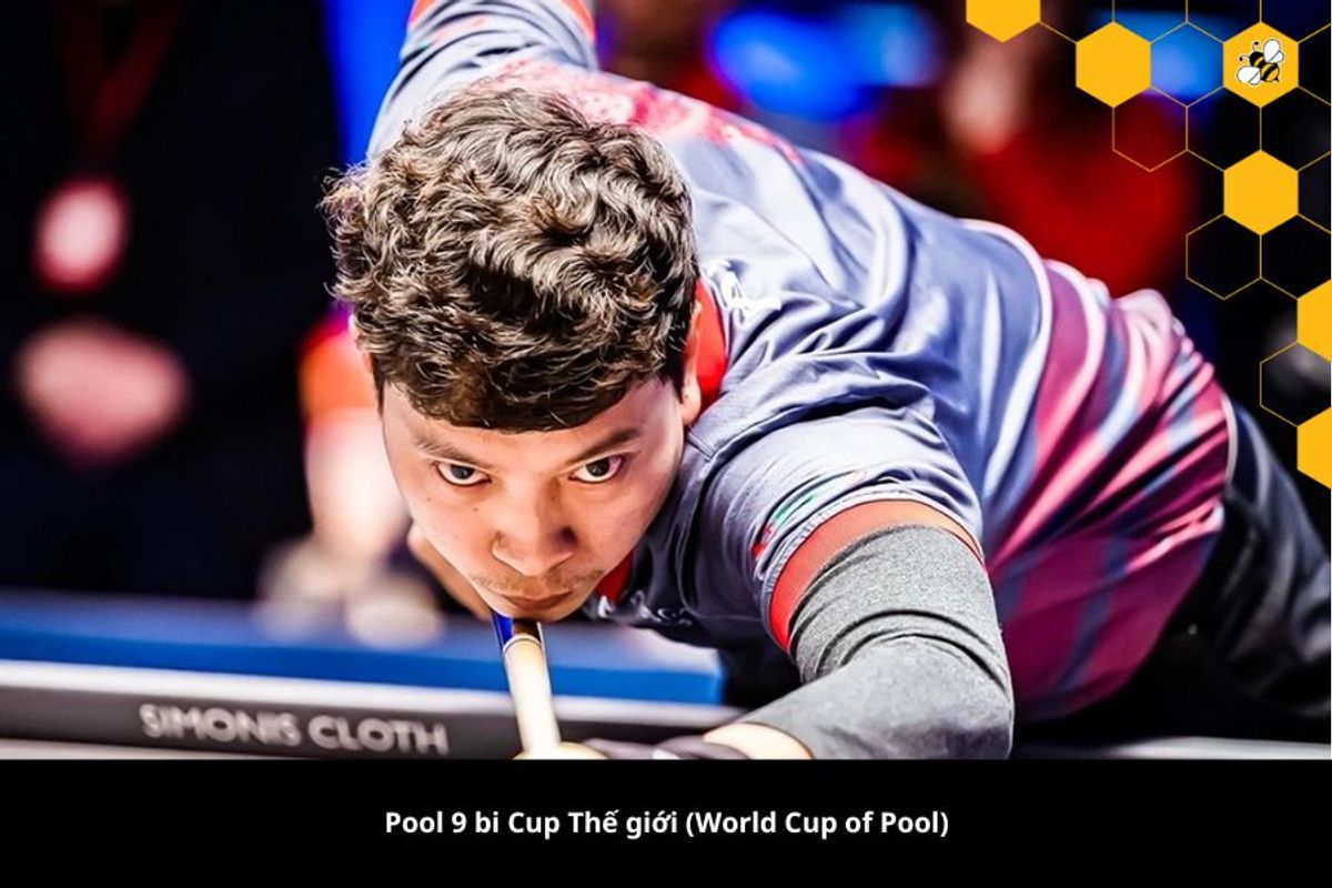 Pool 9 bi Cup Thế giới (World Cup of Pool)