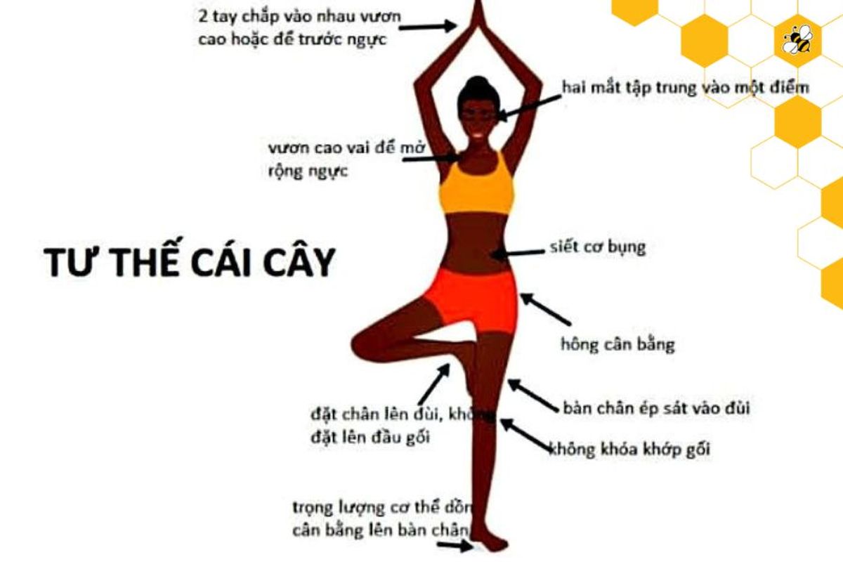 tư thế cái cây