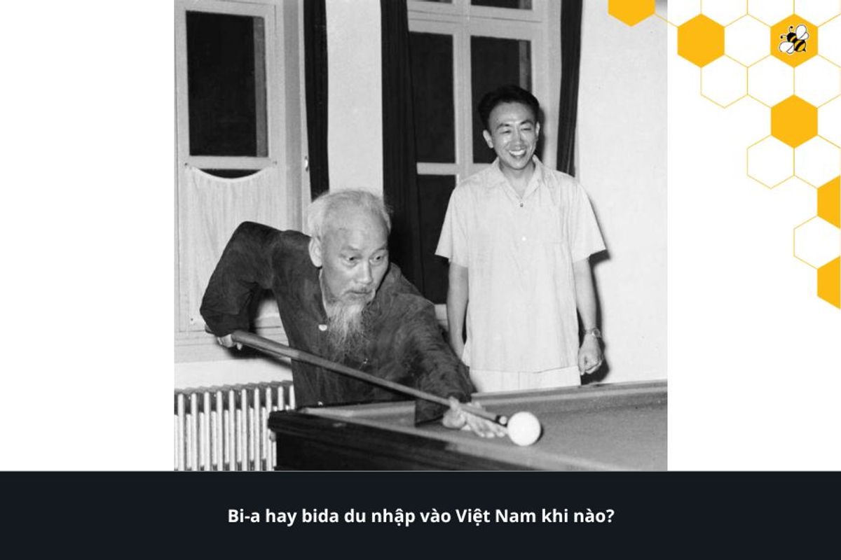Bi-a hay bida du nhập vào Việt Nam khi nào?