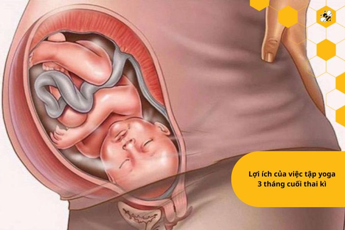 Lợi ích của việc tập yoga 3 tháng cuối thai kì