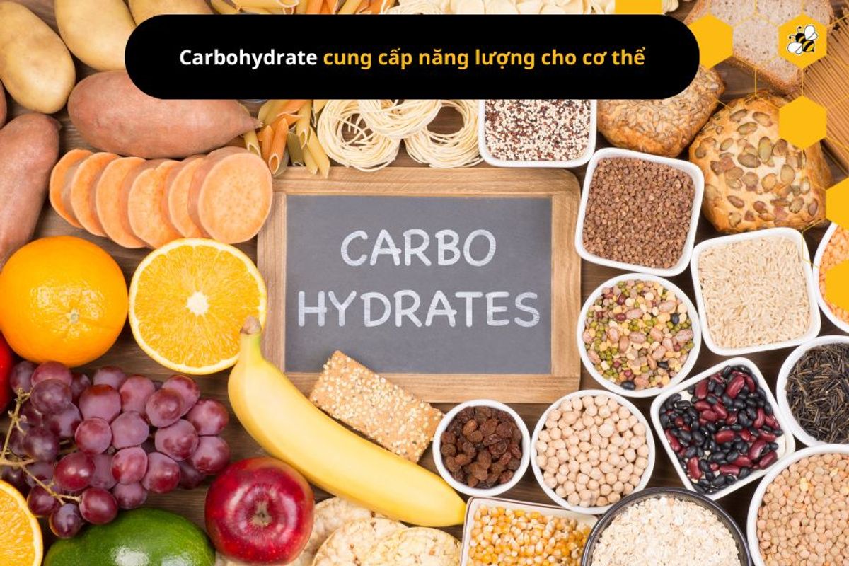 Carbohydrate cung cấp năng lượng cho cơ thể