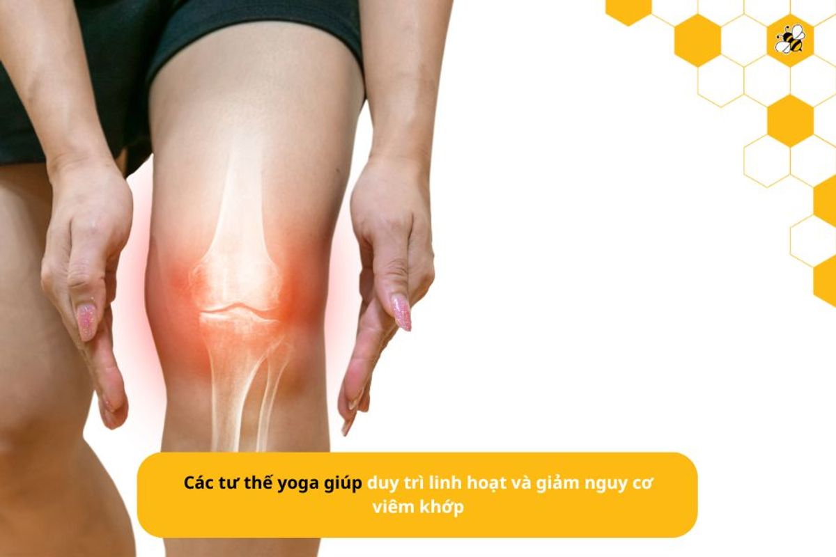 Các tư thế yoga giúp duy trì linh hoạt và giảm nguy cơ viêm khớp