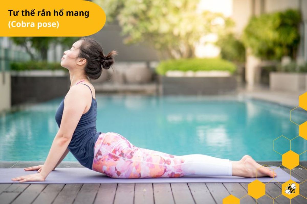 Tư thế rắn hổ mang (Cobra pose)