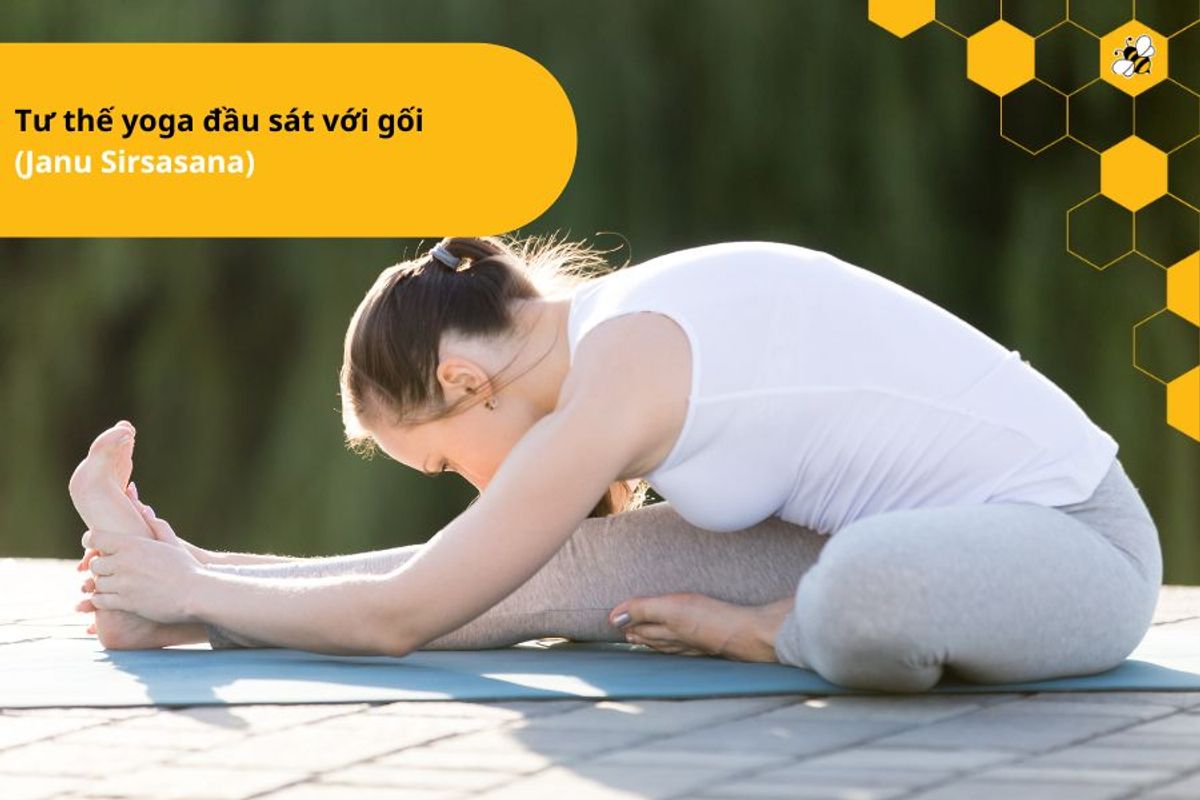 Tư thế yoga đầu sát với gối (Janu Sirsasana)