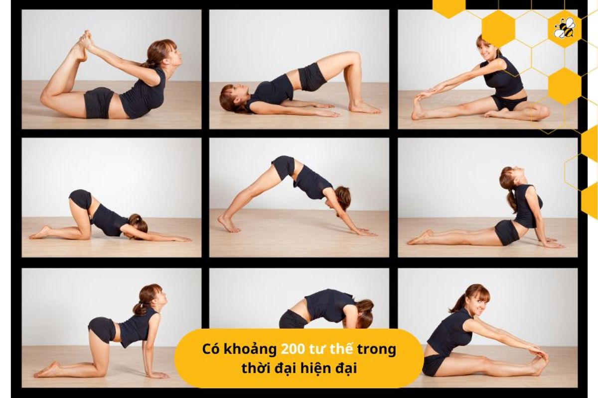 Có khoảng 200 tư thế trong thời đại hiện đại