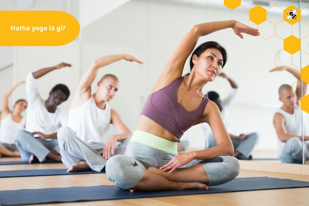 Hatha yoga là gì?