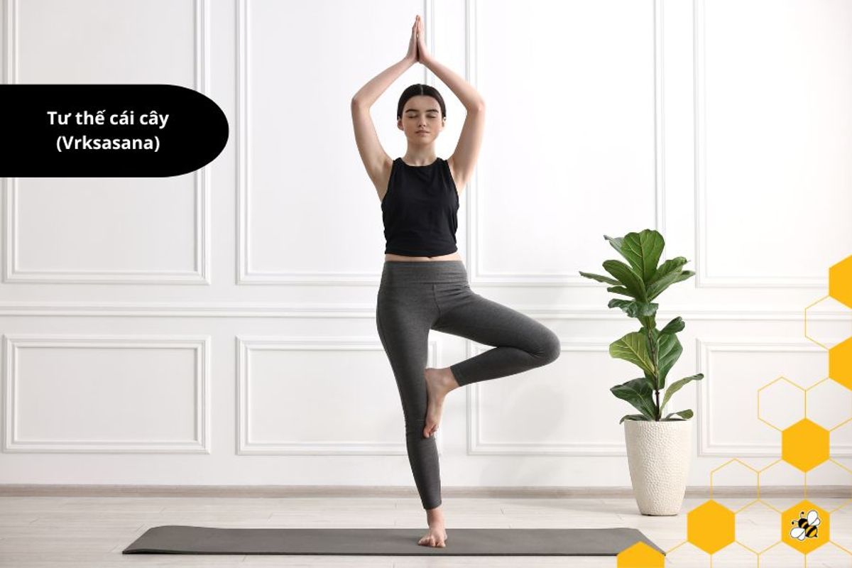 Tư thế cái cây (Vrksasana)