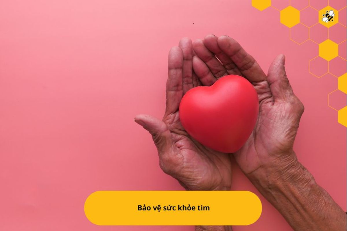 Bảo vệ sức khỏe tim