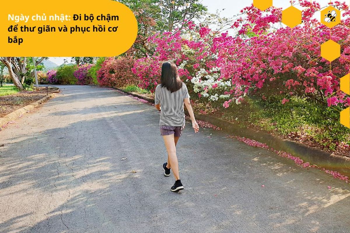 Ngày chủ nhật: Đi bộ chậm để thư giãn và phục hồi cơ bắp