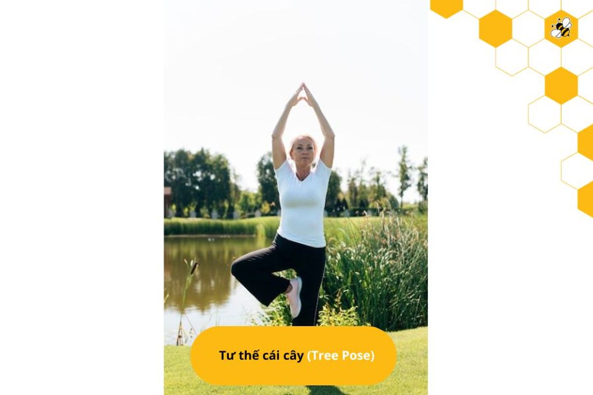 Tư thế cái cây (Tree Pose)