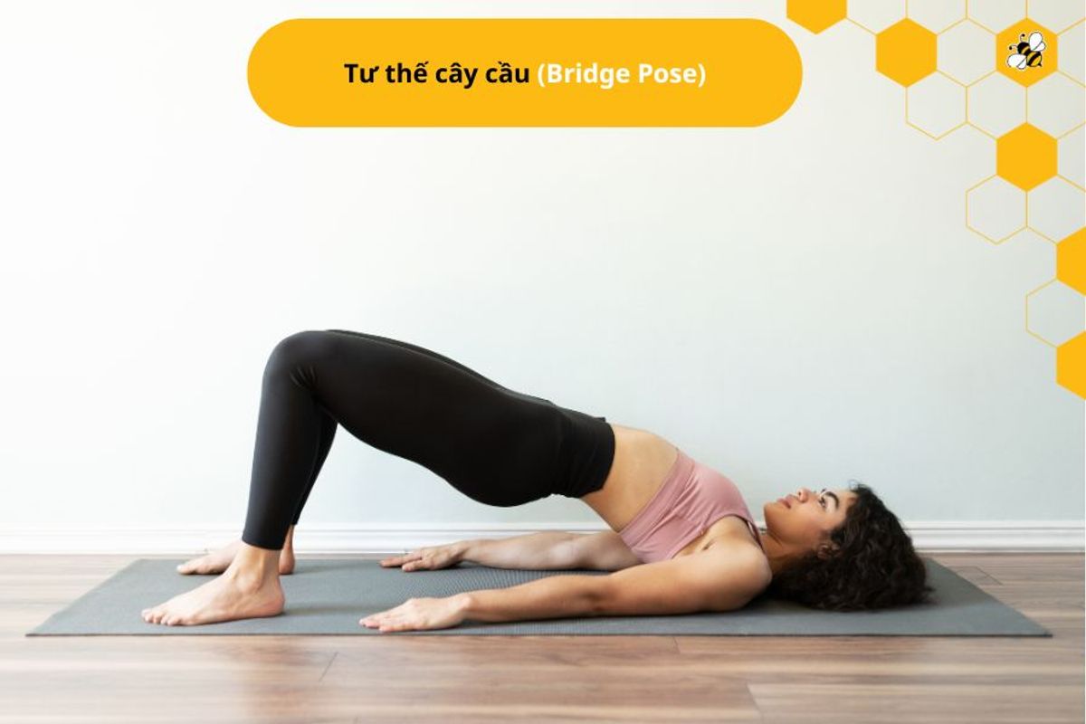 Tư thế cây cầu (Bridge Pose)