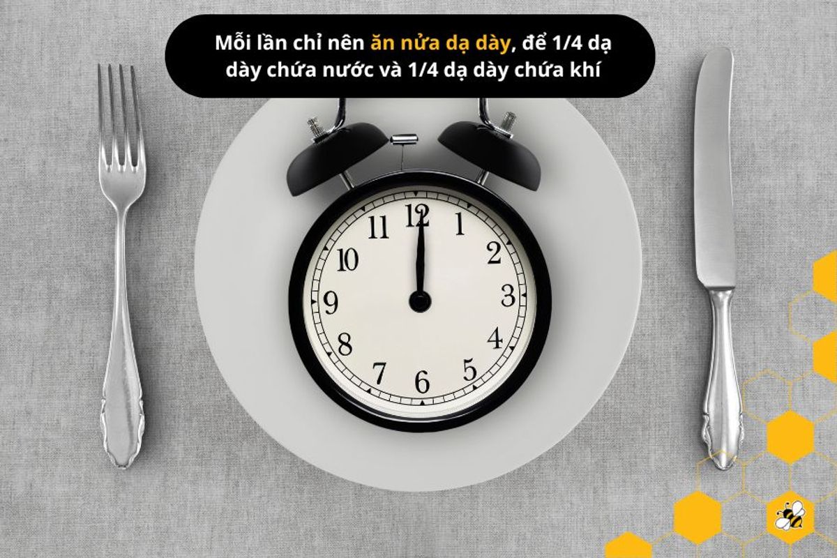 Mỗi lần chỉ nên ăn nửa dạ dày, để 1/4 dạ dày chứa nước và 1/4 dạ dày chứa khí